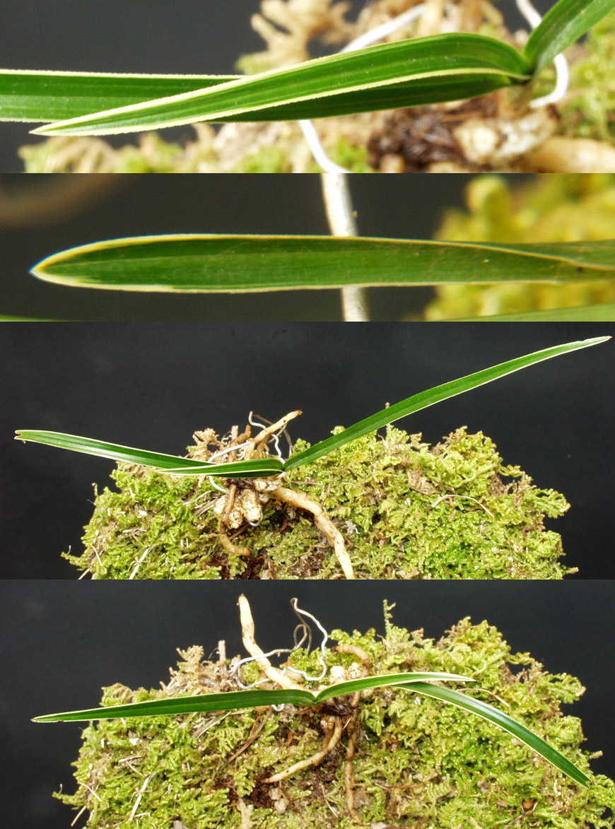 ������ ū������ �� �� �ֽ��ϴ�.