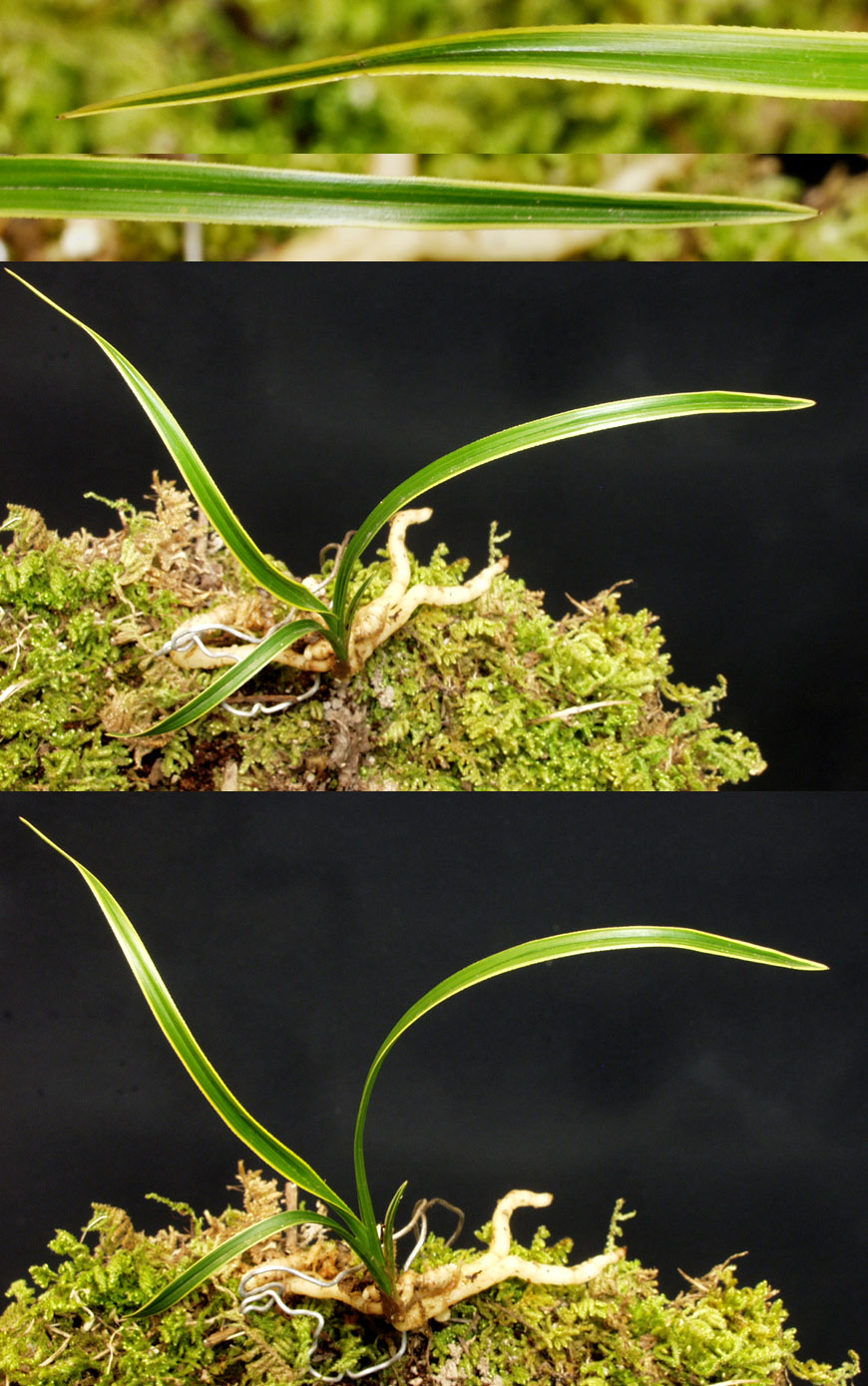 ������ ū������ �� �� �ֽ��ϴ�.