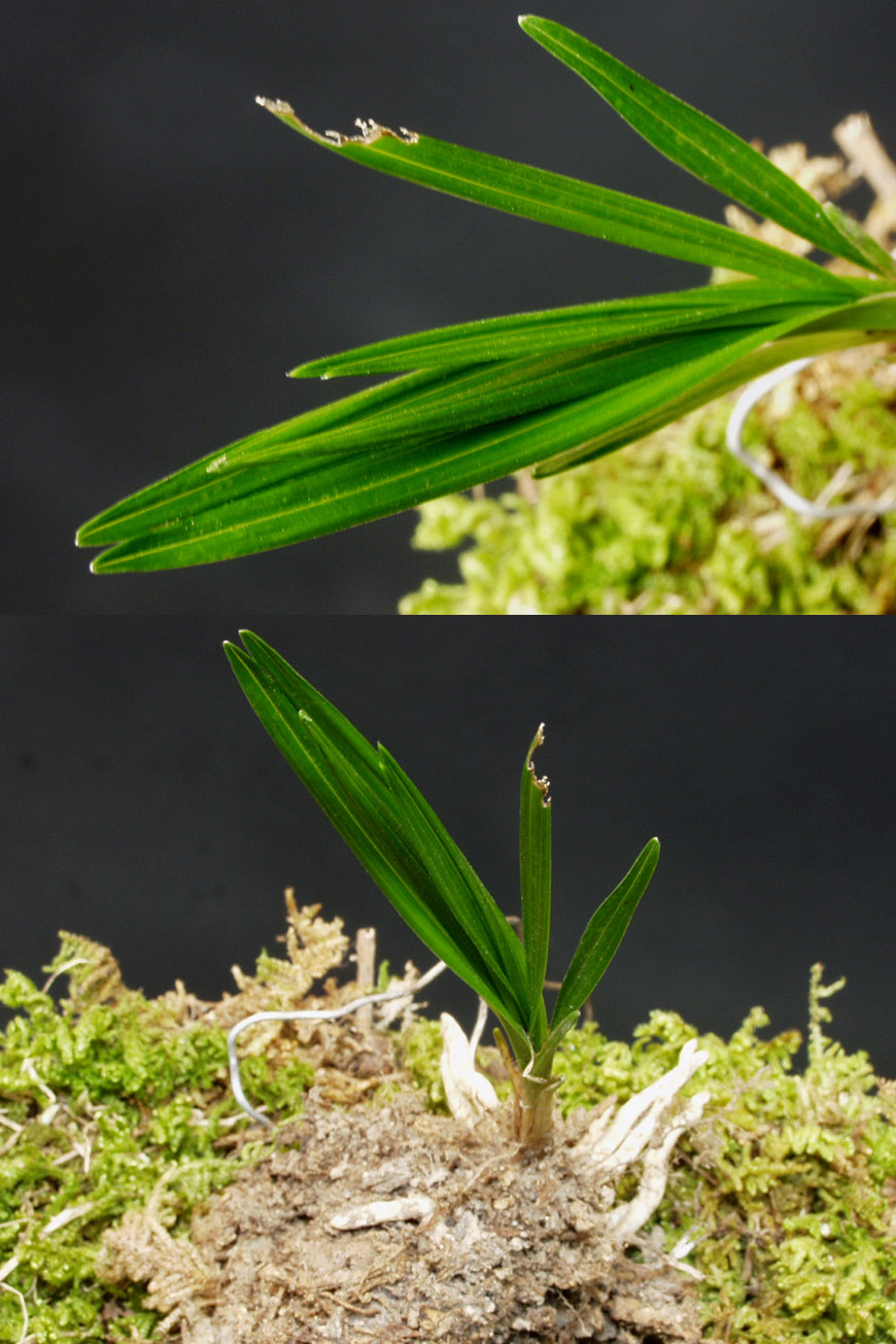 ������ ū������ �� �� �ֽ��ϴ�.