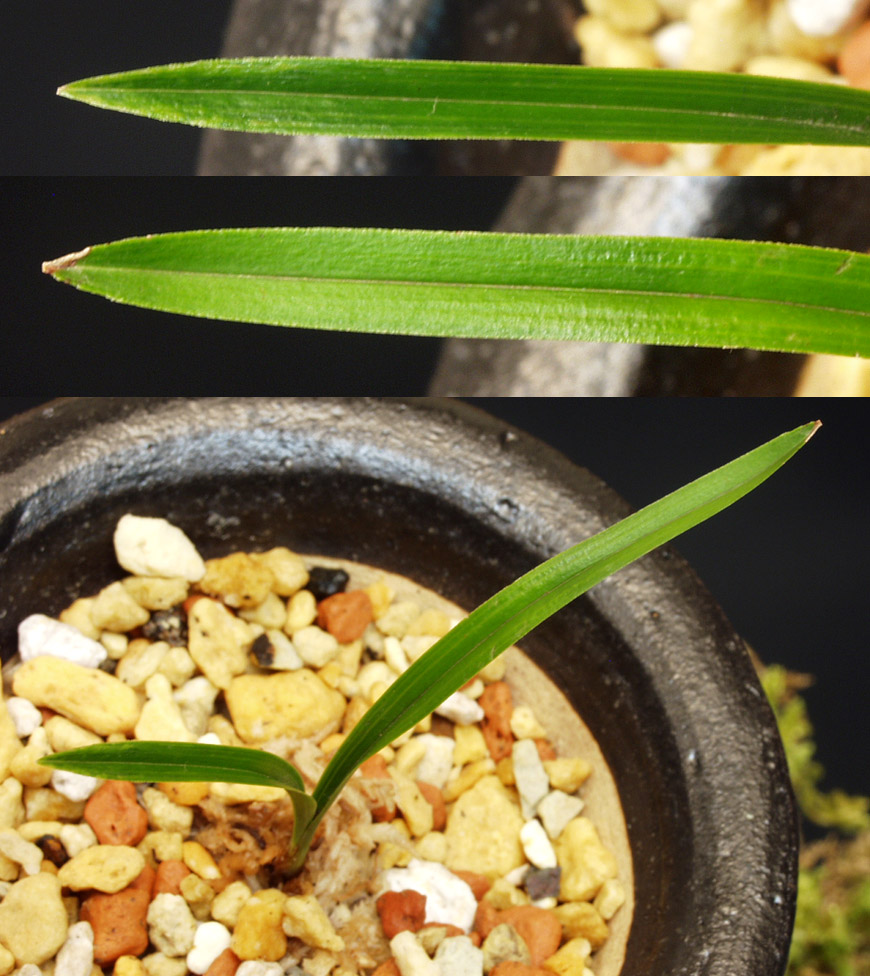 ������ ū������ �� �� �ֽ��ϴ�.