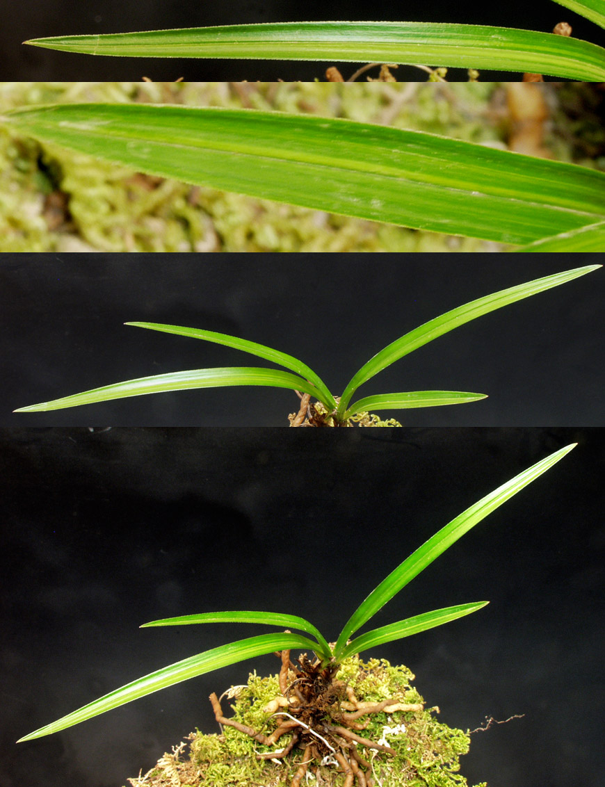 ������ ū������ �� �� �ֽ��ϴ�.