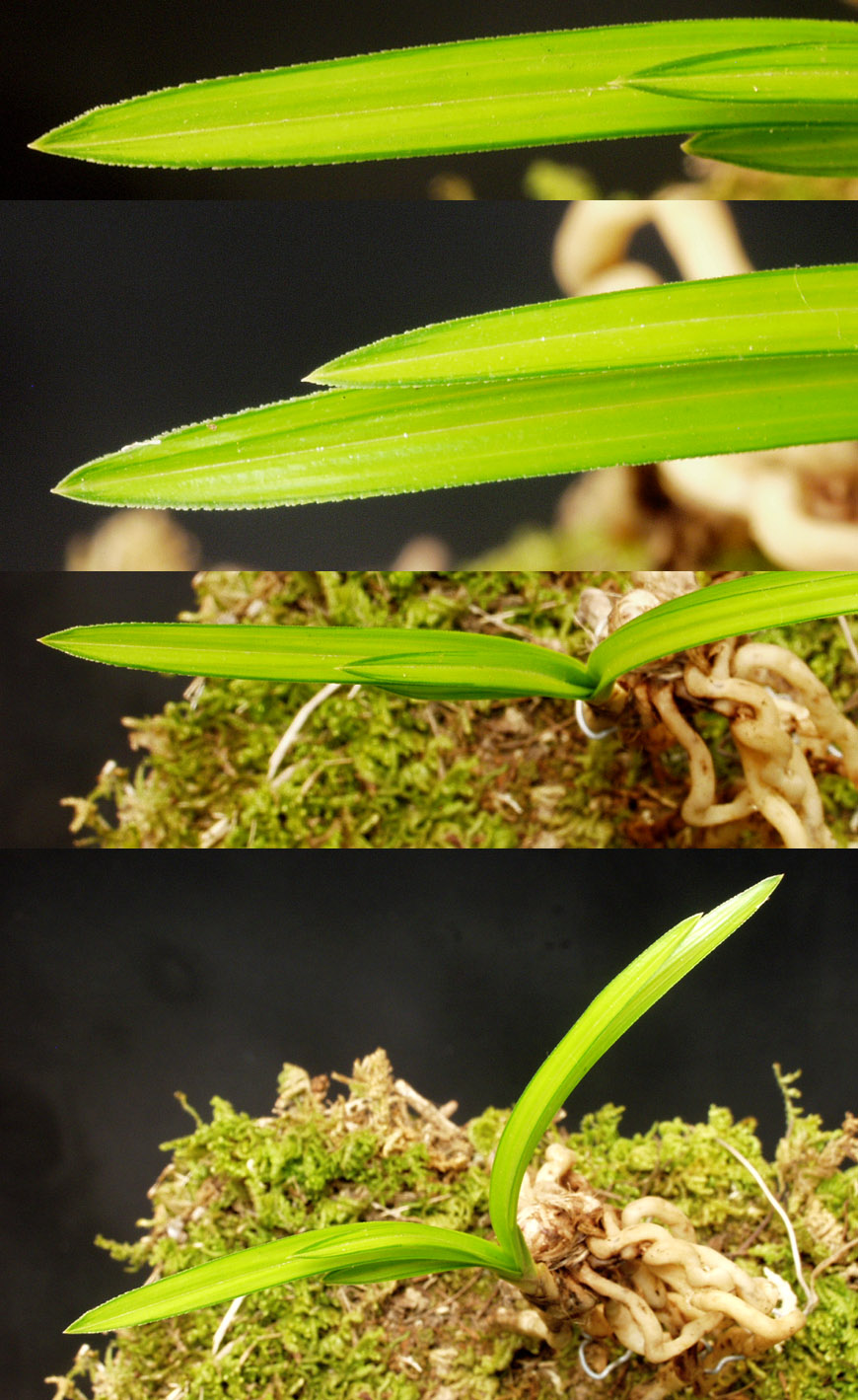 ������ ū������ �� �� �ֽ��ϴ�.