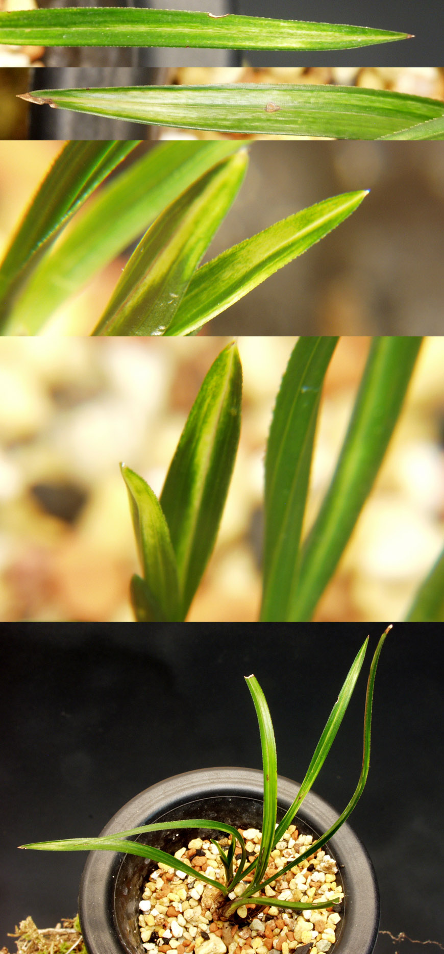 ������ ū������ �� �� �ֽ��ϴ�.