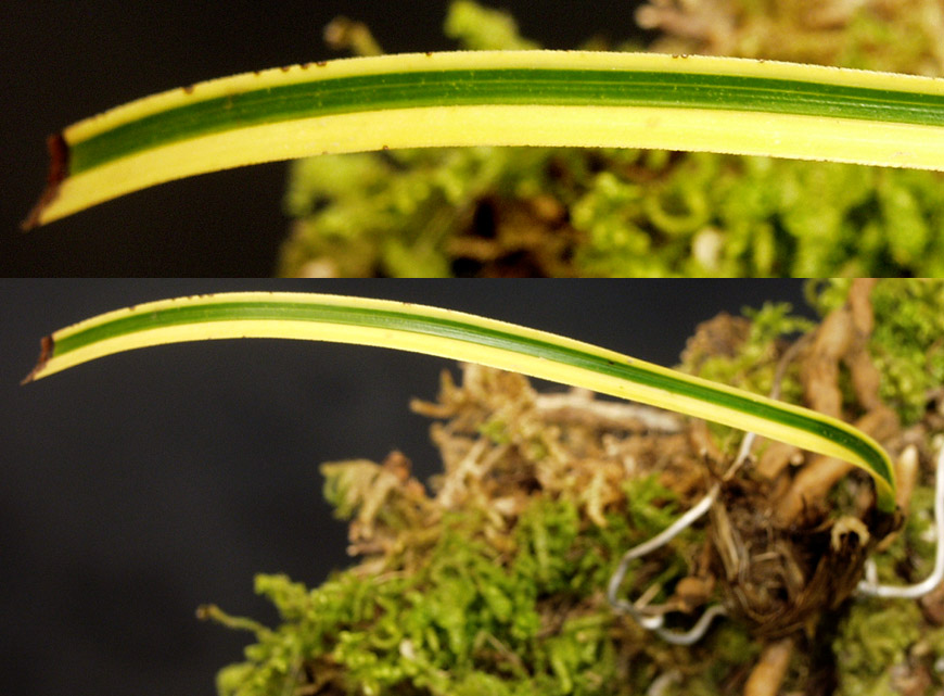 ������ ū������ �� �� �ֽ��ϴ�.