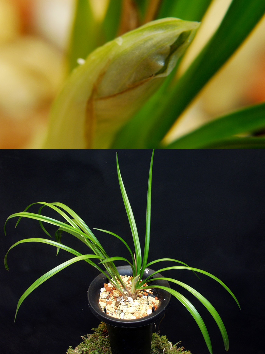 ������ ū������ �� �� �ֽ��ϴ�.