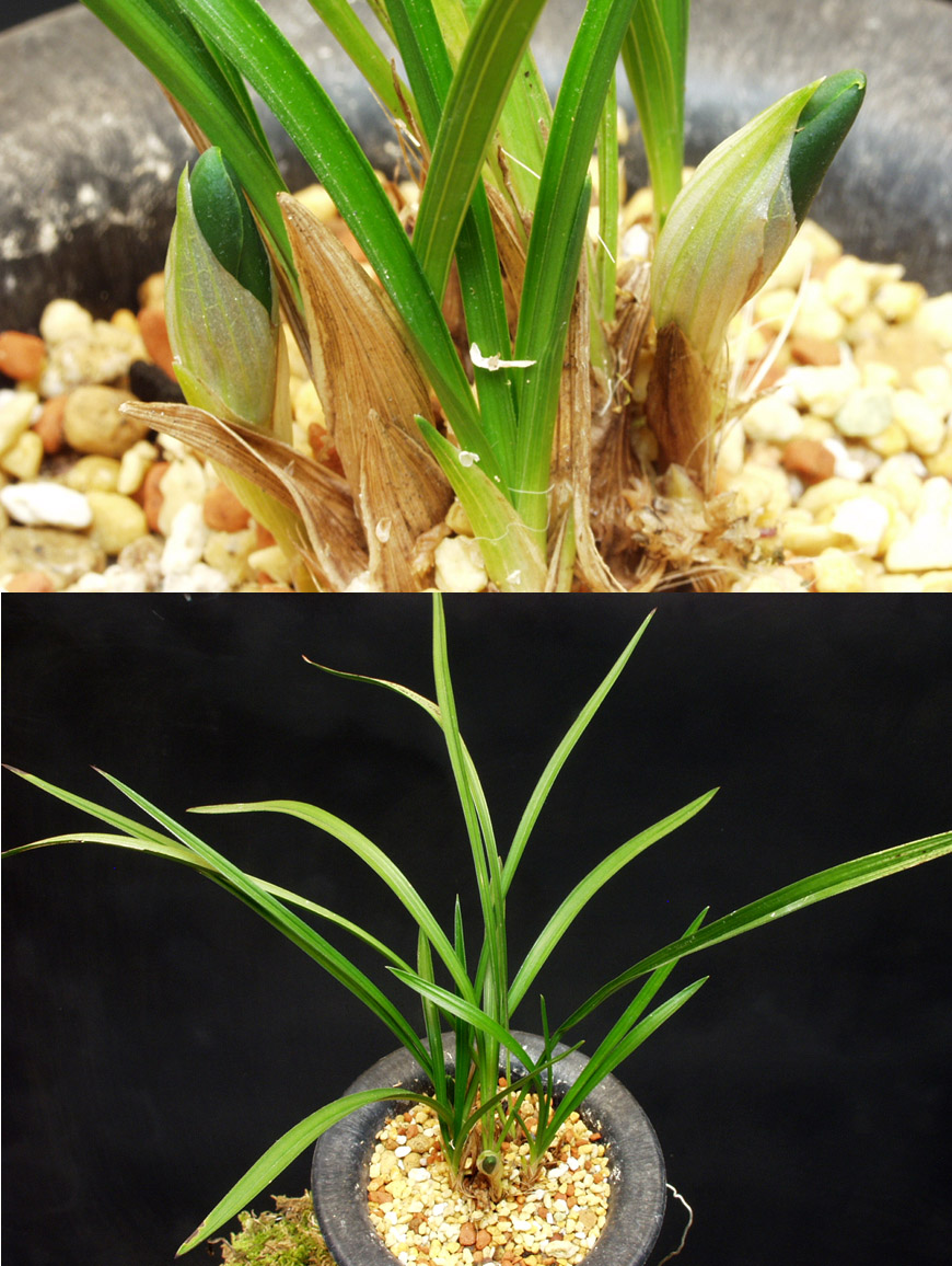 ������ ū������ �� �� �ֽ��ϴ�.