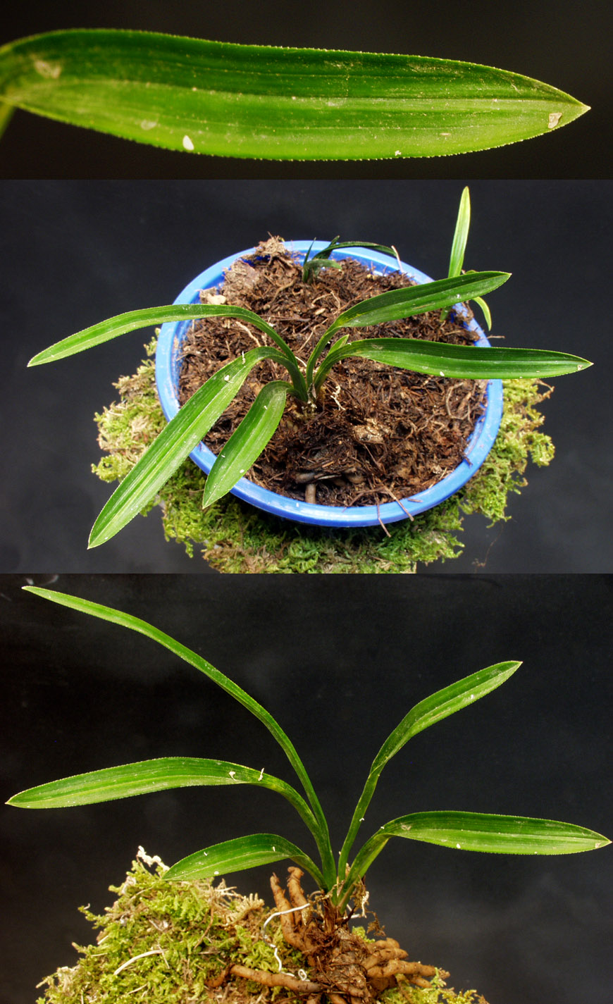 ������ ū������ �� �� �ֽ��ϴ�.