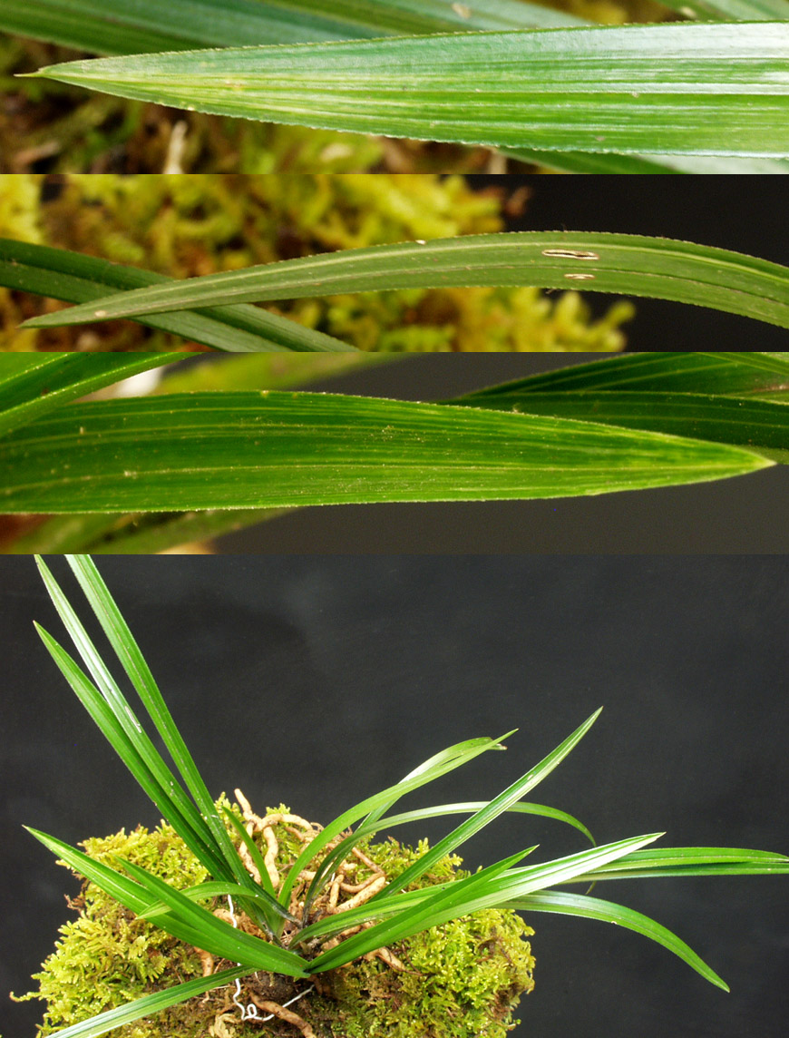 ������ ū������ �� �� �ֽ��ϴ�.