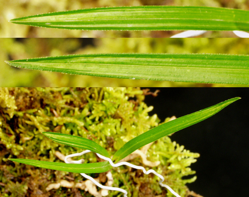 ������ ū������ �� �� �ֽ��ϴ�.