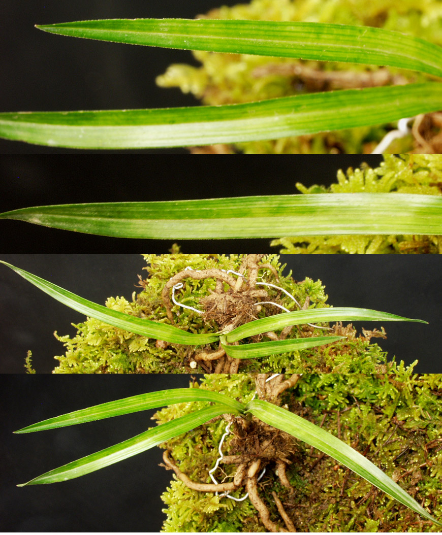 ������ ū������ �� �� �ֽ��ϴ�.