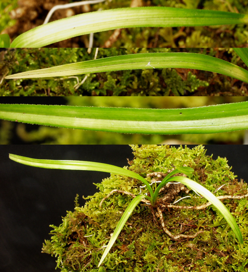 ������ ū������ �� �� �ֽ��ϴ�.