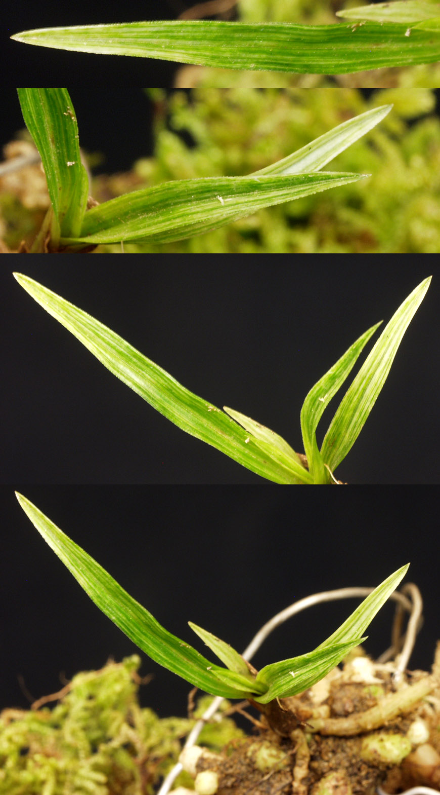 ������ ū������ �� �� �ֽ��ϴ�.