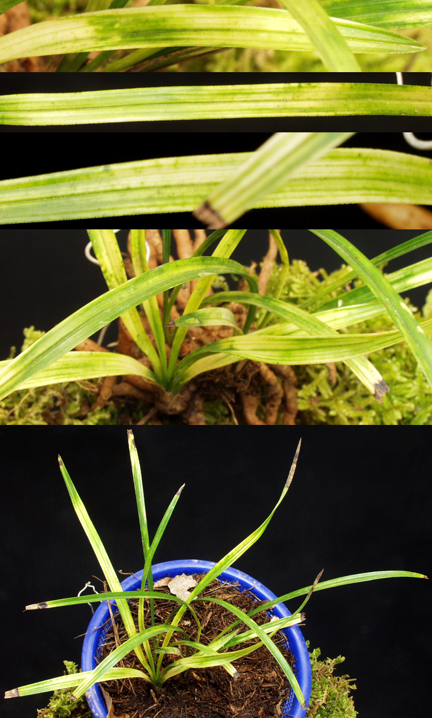 ������ ū������ �� �� �ֽ��ϴ�.