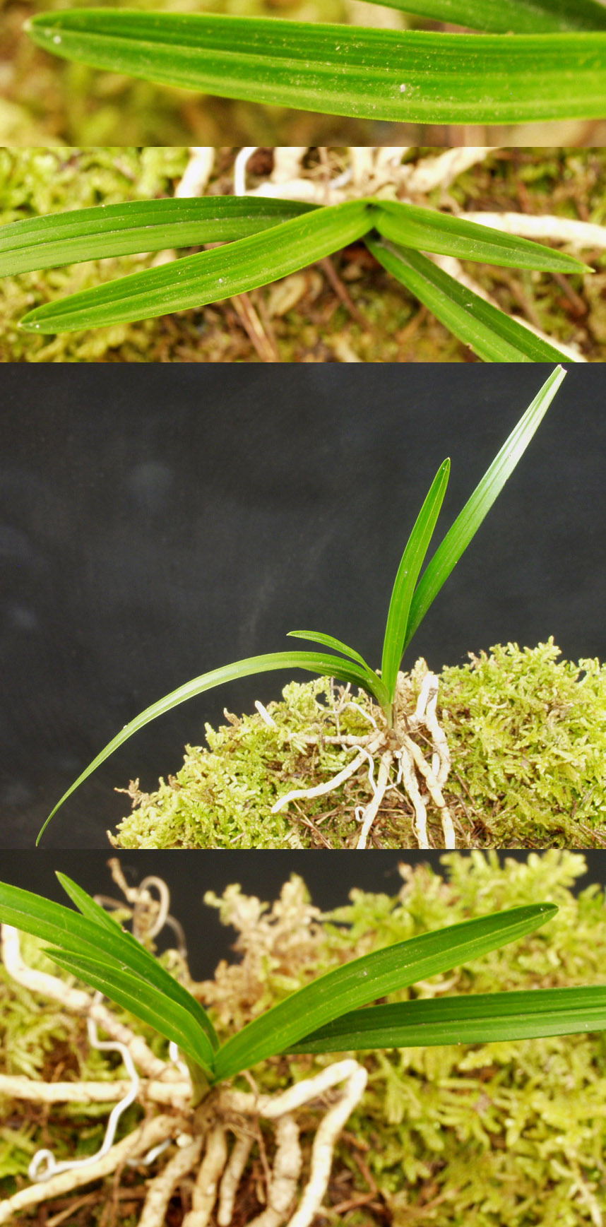 ������ ū������ �� �� �ֽ��ϴ�.