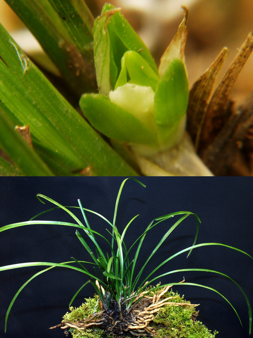 ������ ū������ �� �� �ֽ��ϴ�.