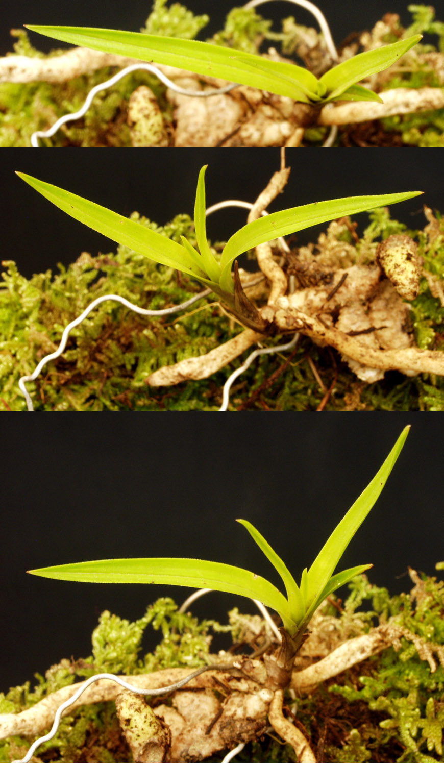 ������ ū������ �� �� �ֽ��ϴ�.