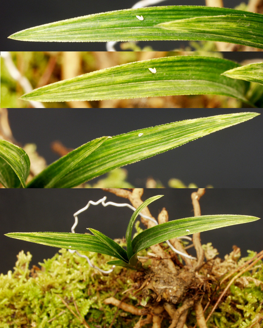 ������ ū������ �� �� �ֽ��ϴ�.