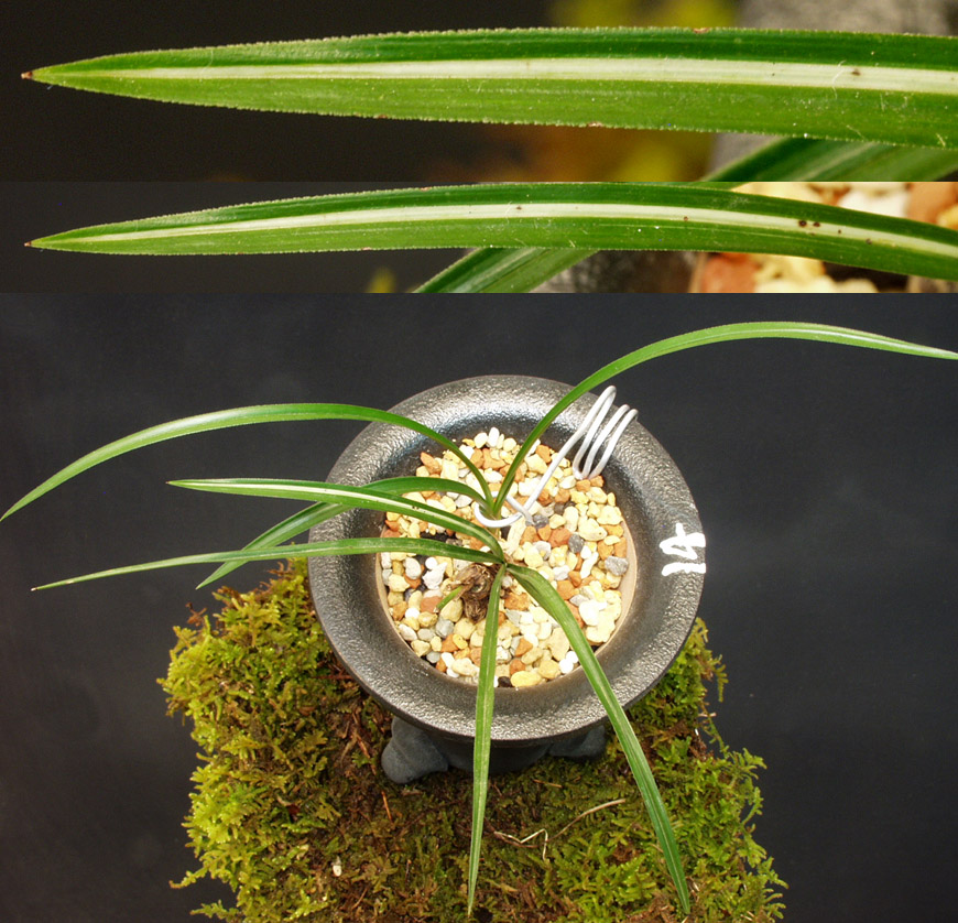 ������ ū������ �� �� �ֽ��ϴ�.