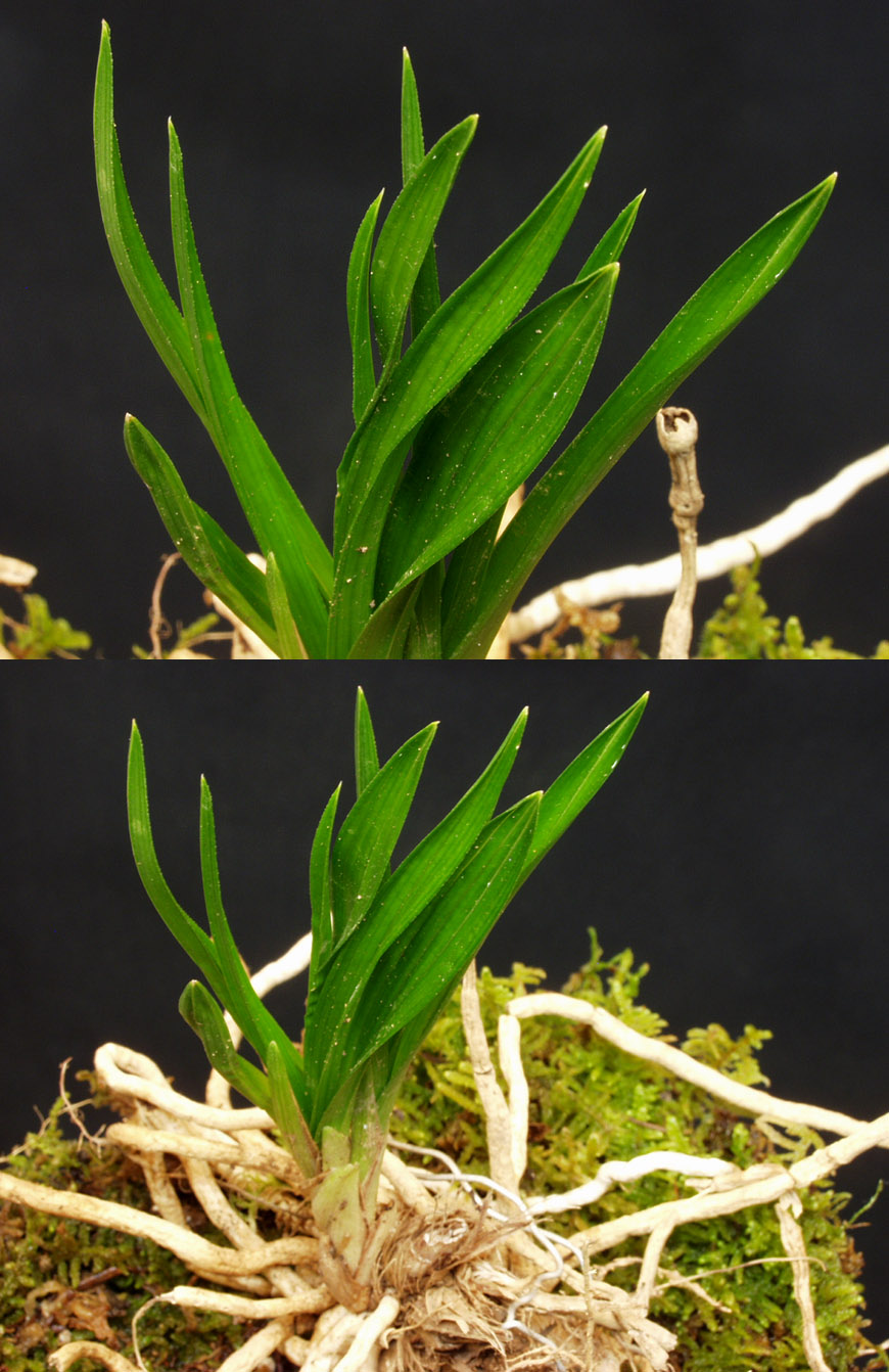 ������ ū������ �� �� �ֽ��ϴ�.