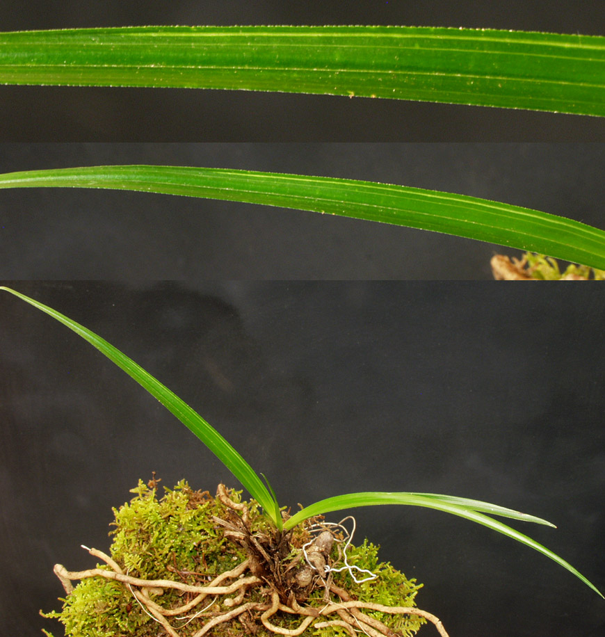 ������ ū������ �� �� �ֽ��ϴ�.