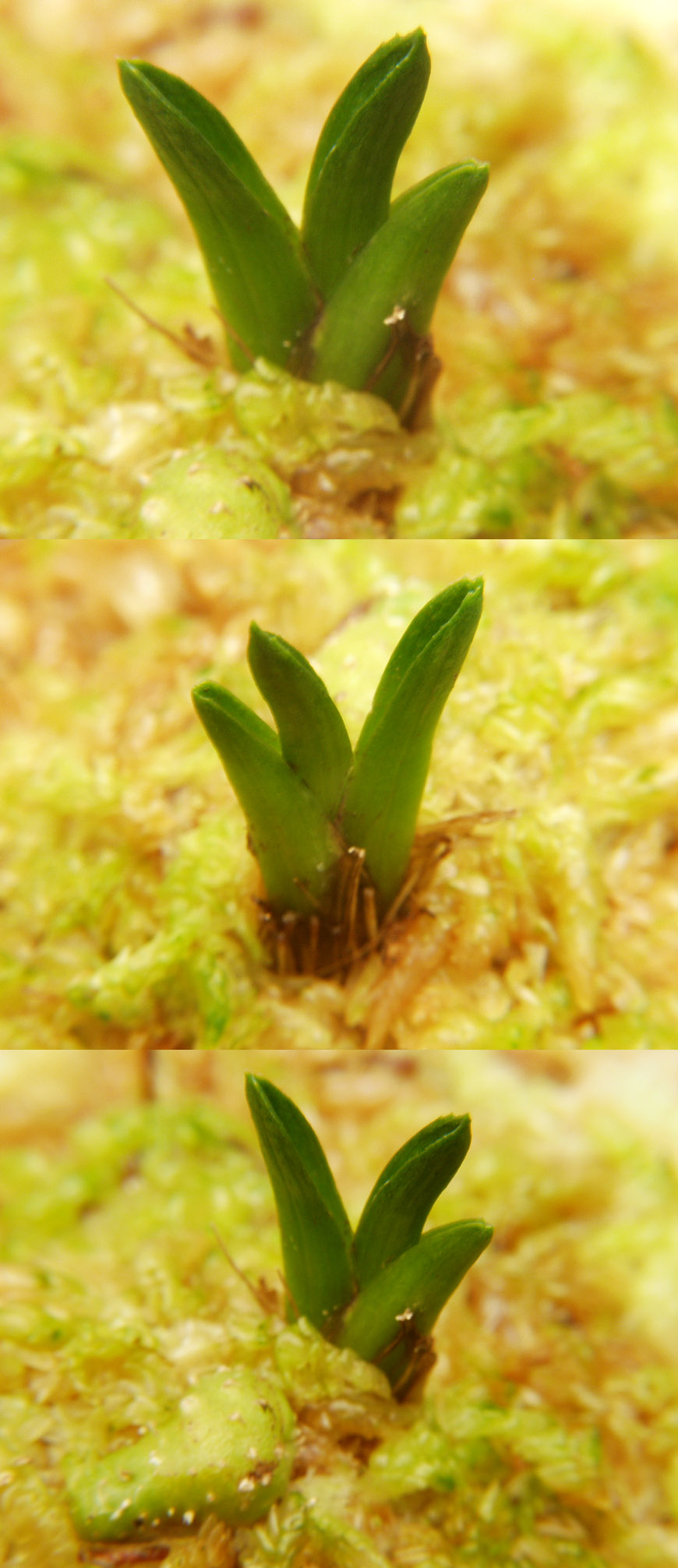 ������ ū������ �� �� �ֽ��ϴ�.