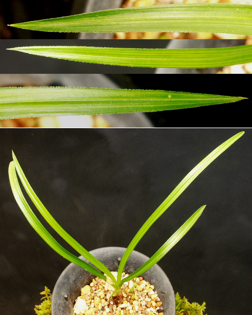 ������ ū������ �� �� �ֽ��ϴ�.