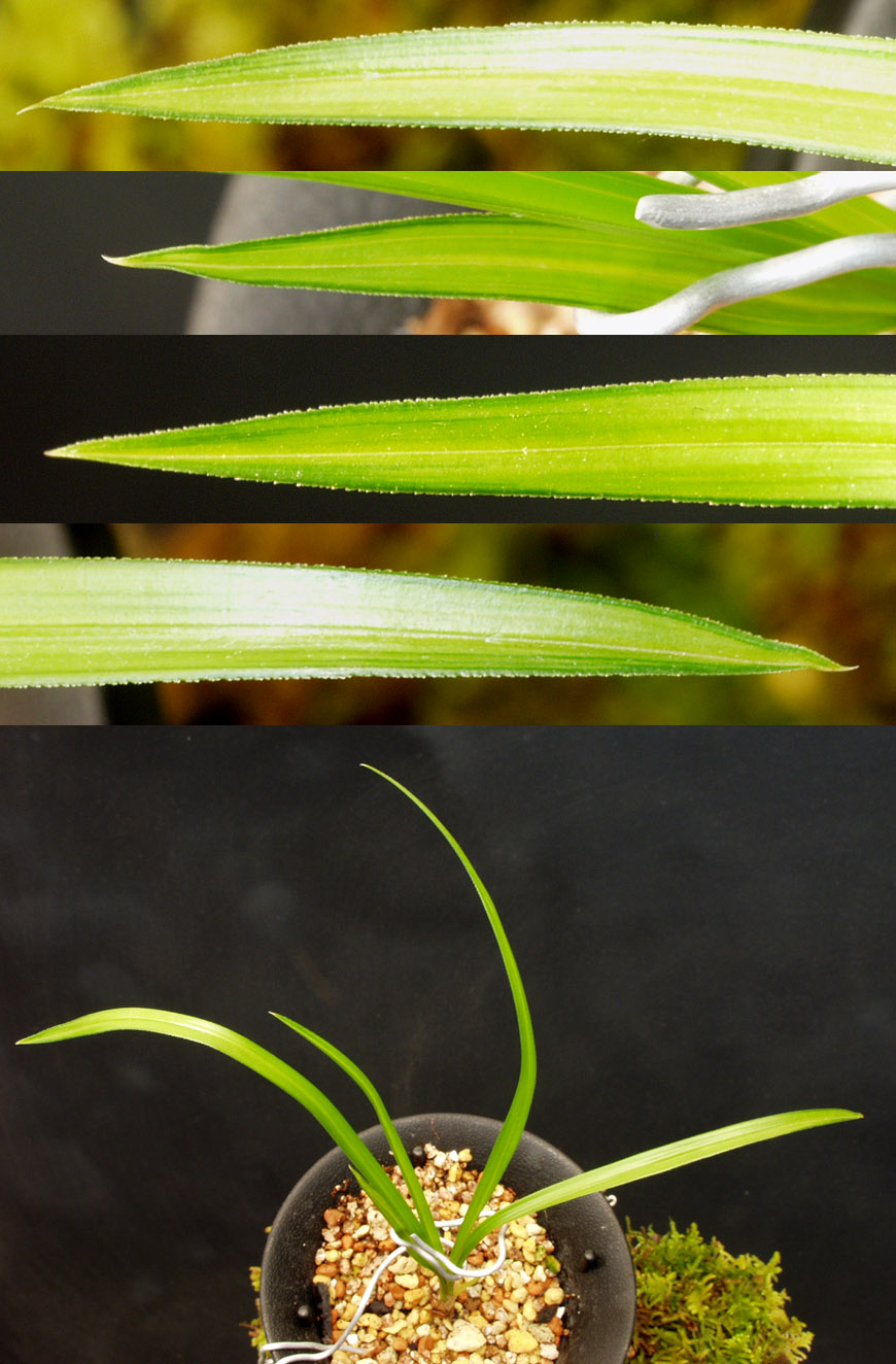 ������ ū������ �� �� �ֽ��ϴ�.