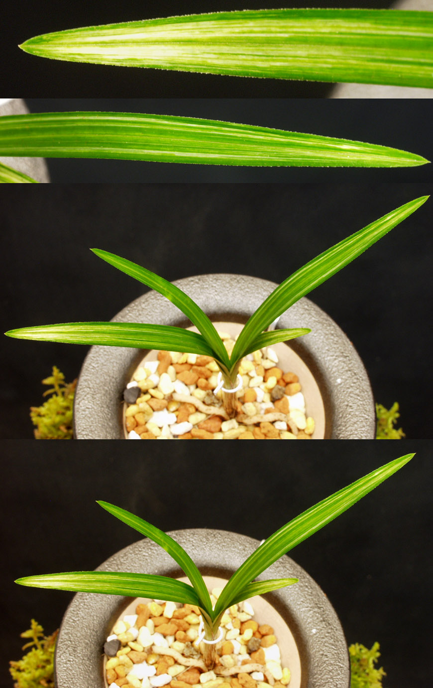 ������ ū������ �� �� �ֽ��ϴ�.