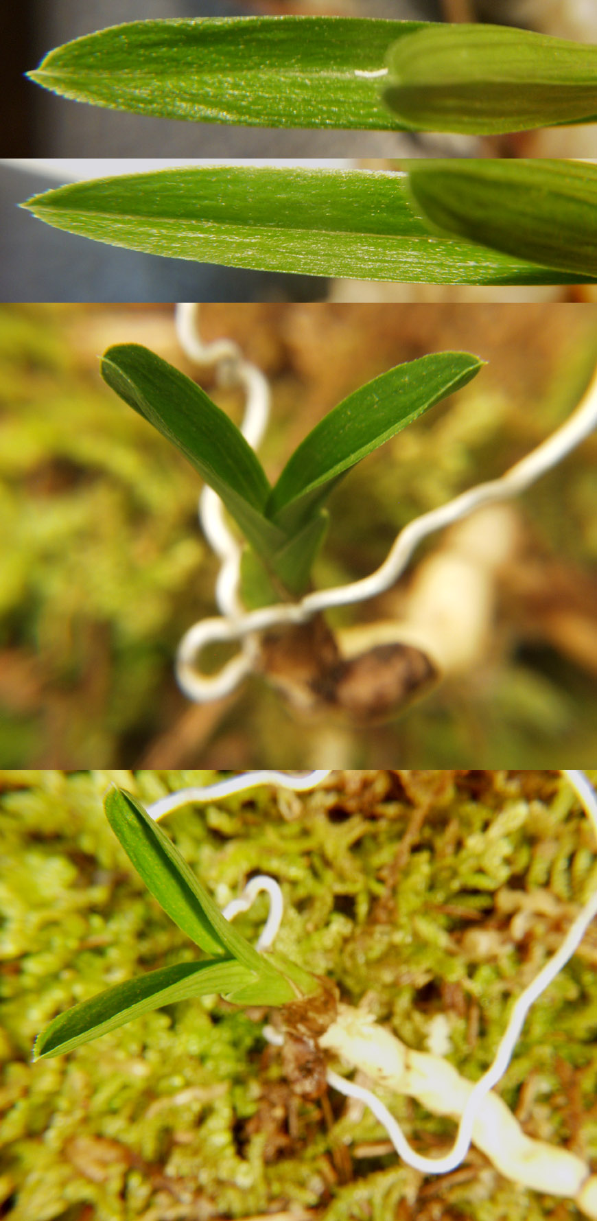 ������ ū������ �� �� �ֽ��ϴ�.