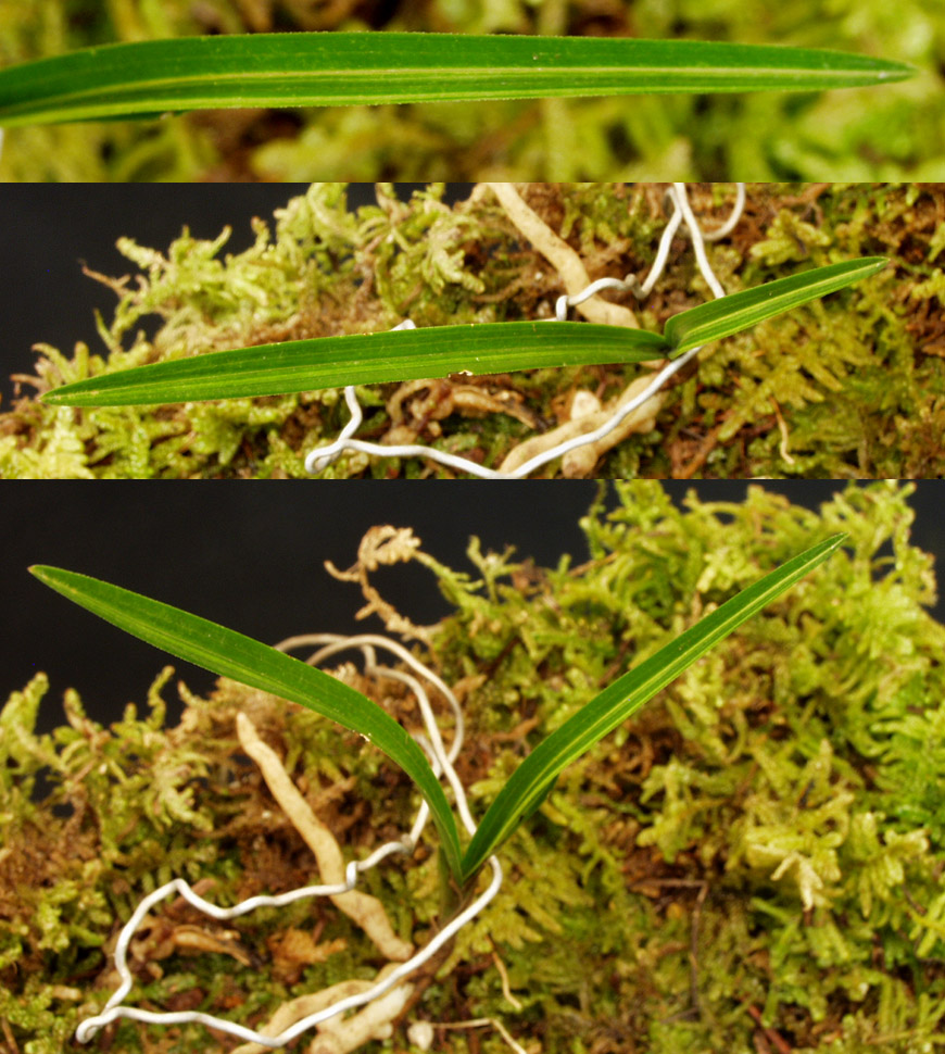 ������ ū������ �� �� �ֽ��ϴ�.