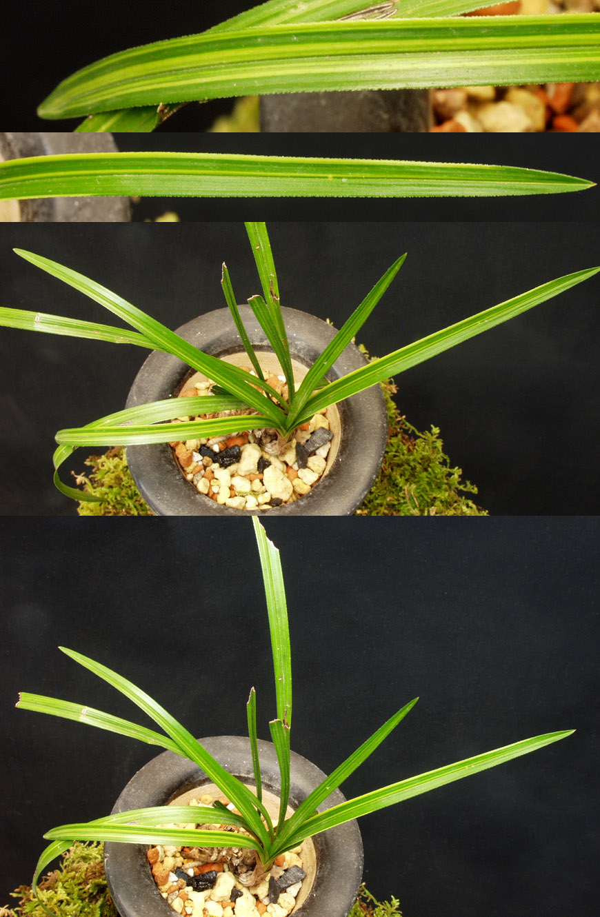 ������ ū������ �� �� �ֽ��ϴ�.