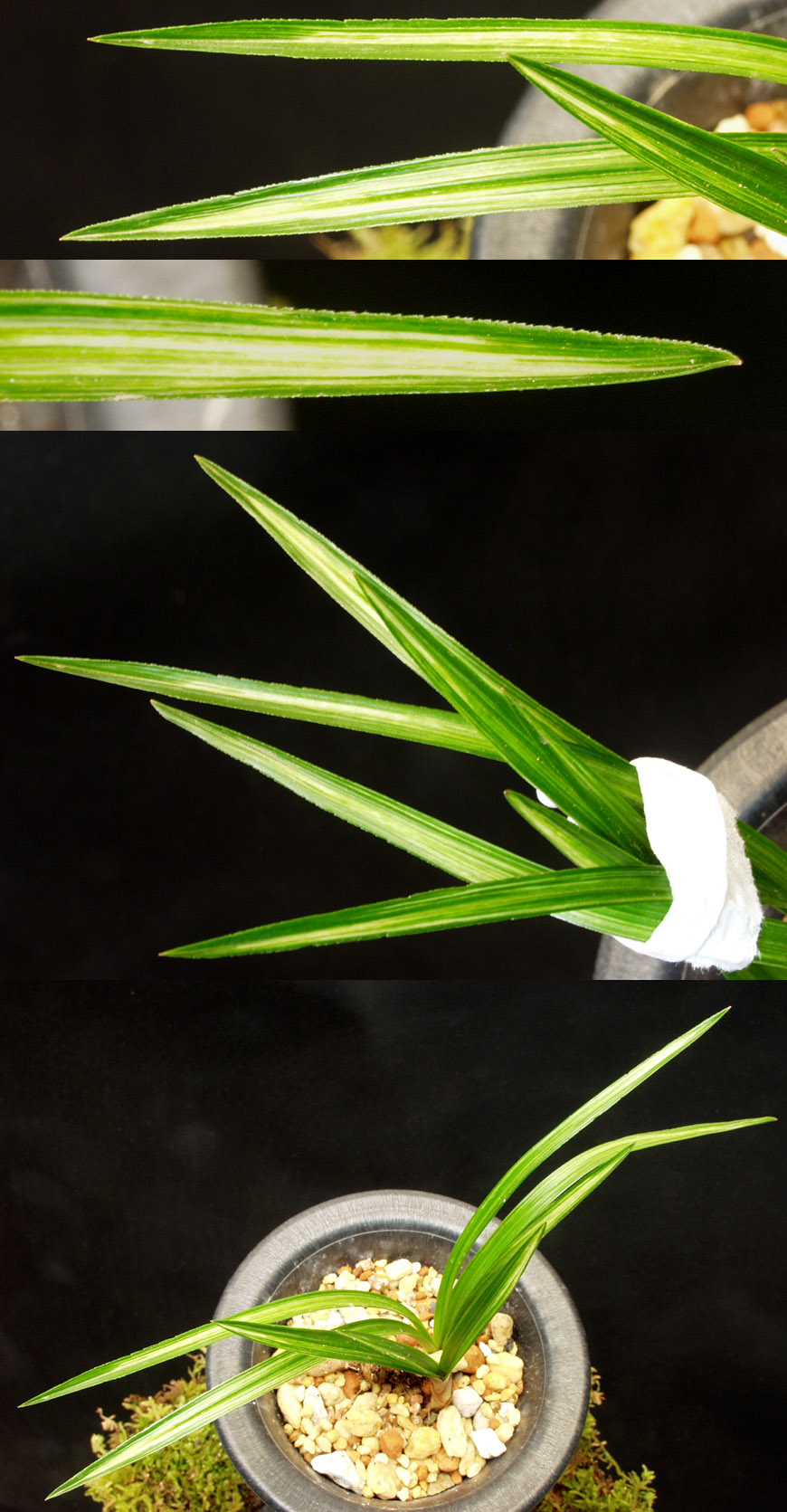 ������ ū������ �� �� �ֽ��ϴ�.