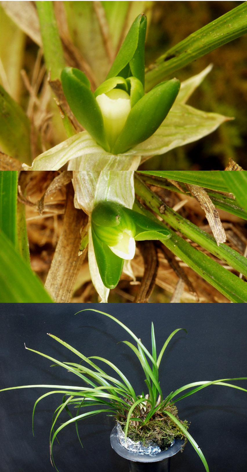 ������ ū������ �� �� �ֽ��ϴ�.