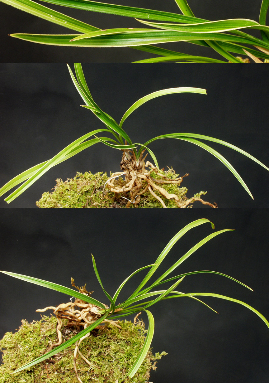 ������ ū������ �� �� �ֽ��ϴ�.