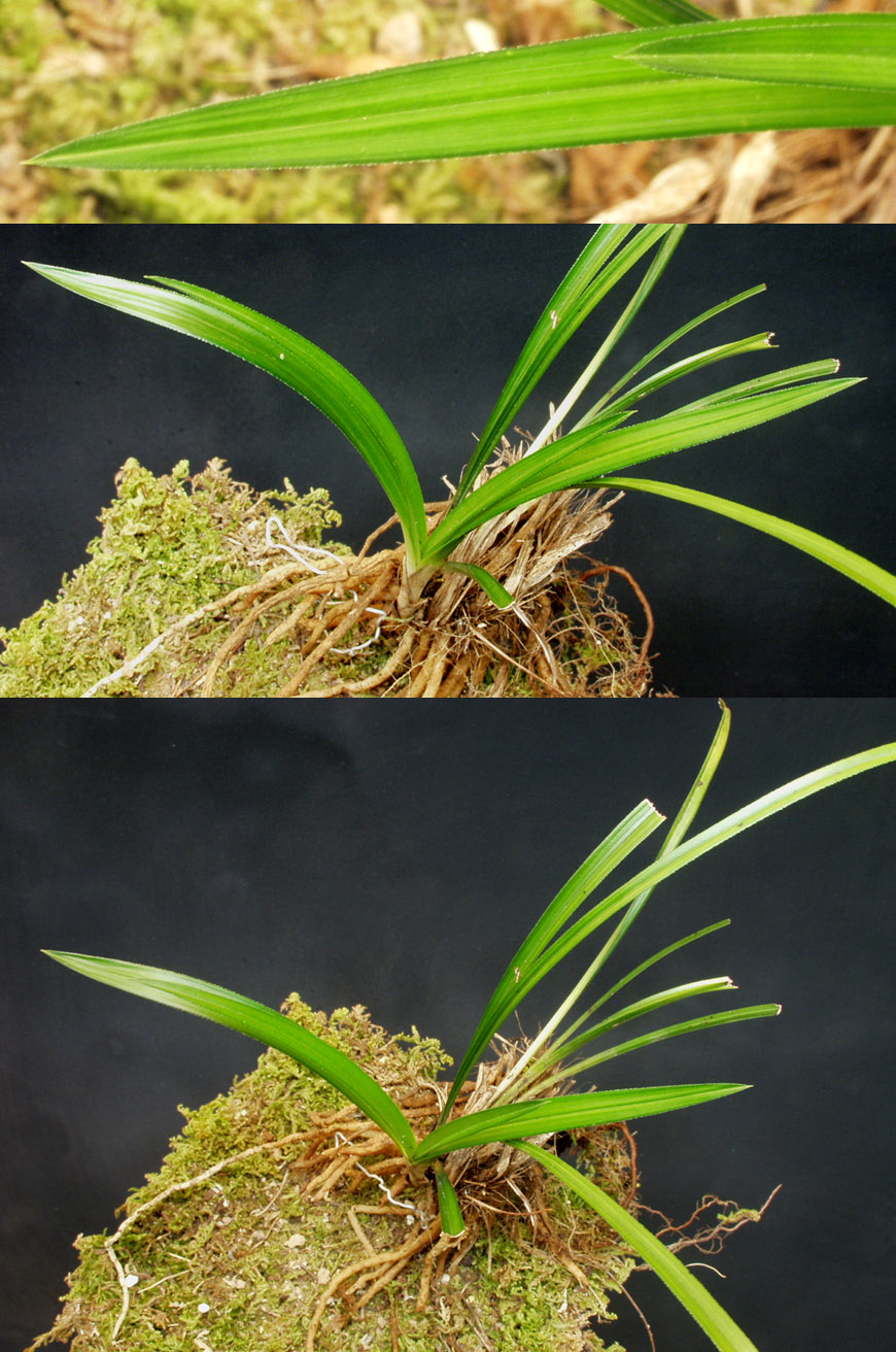 ������ ū������ �� �� �ֽ��ϴ�.