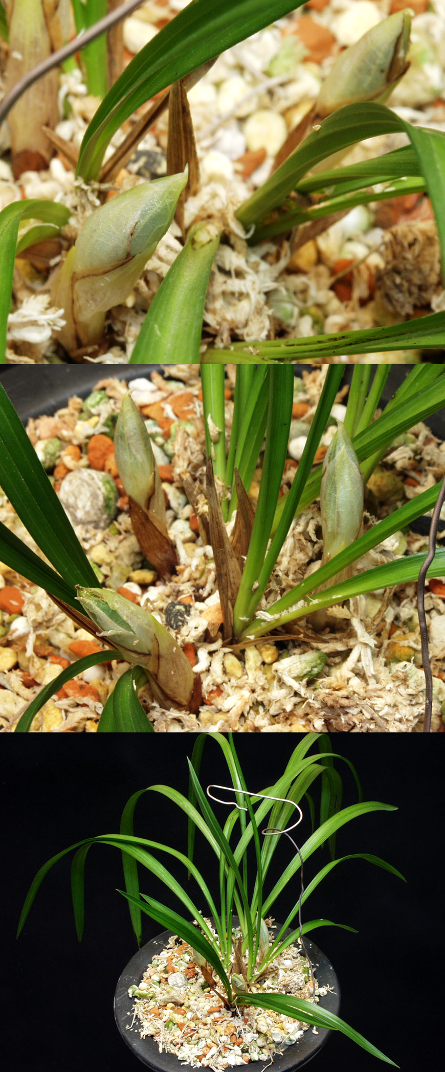 ������ ū������ �� �� �ֽ��ϴ�.