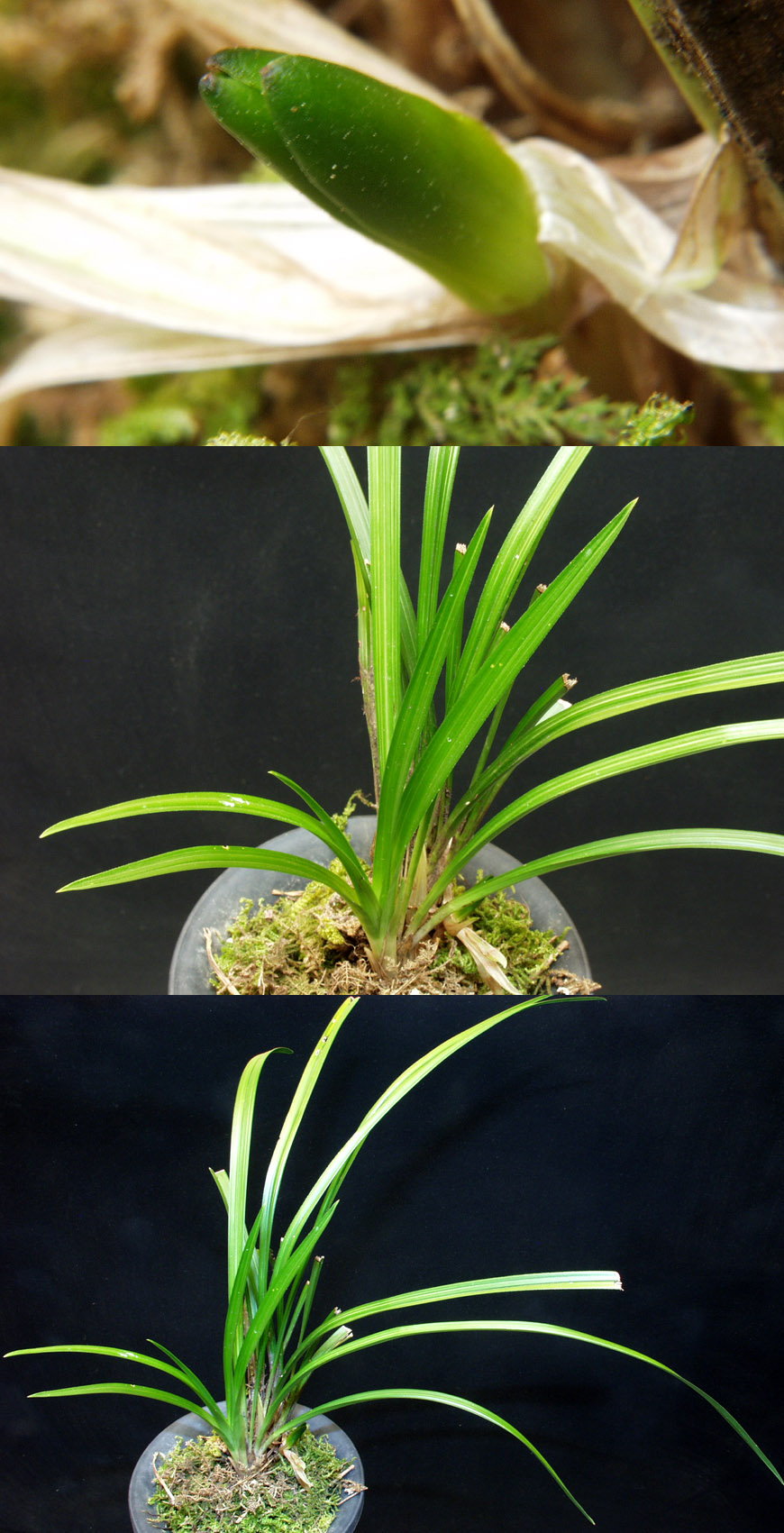 ������ ū������ �� �� �ֽ��ϴ�.