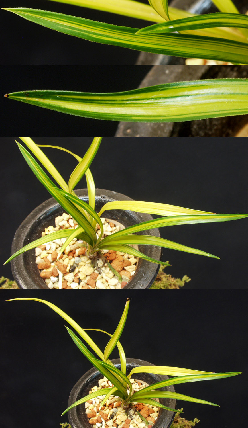 ������ ū������ �� �� �ֽ��ϴ�.