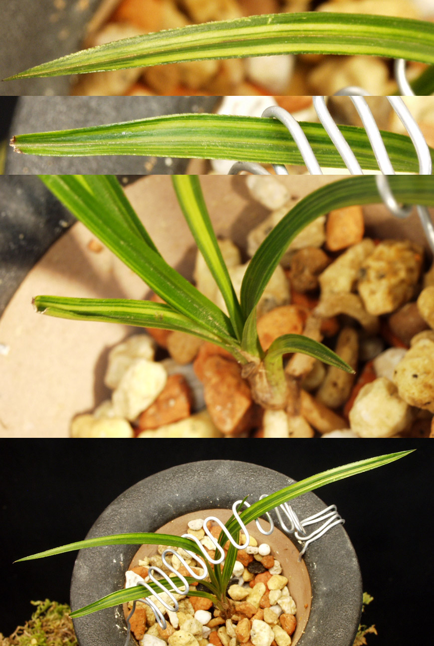 ������ ū������ �� �� �ֽ��ϴ�.