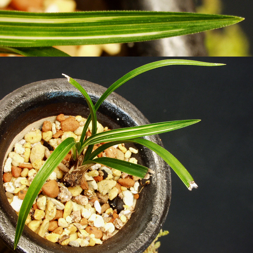 ������ ū������ �� �� �ֽ��ϴ�.