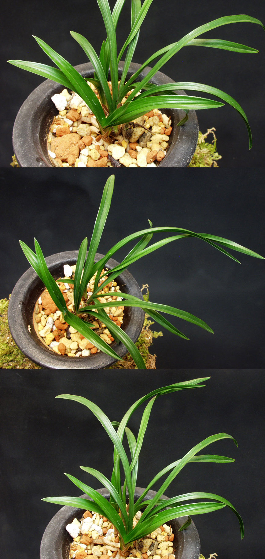 ������ ū������ �� �� �ֽ��ϴ�.