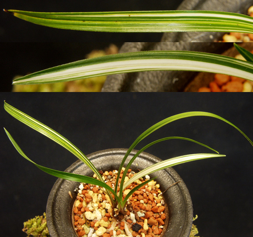 ������ ū������ �� �� �ֽ��ϴ�.