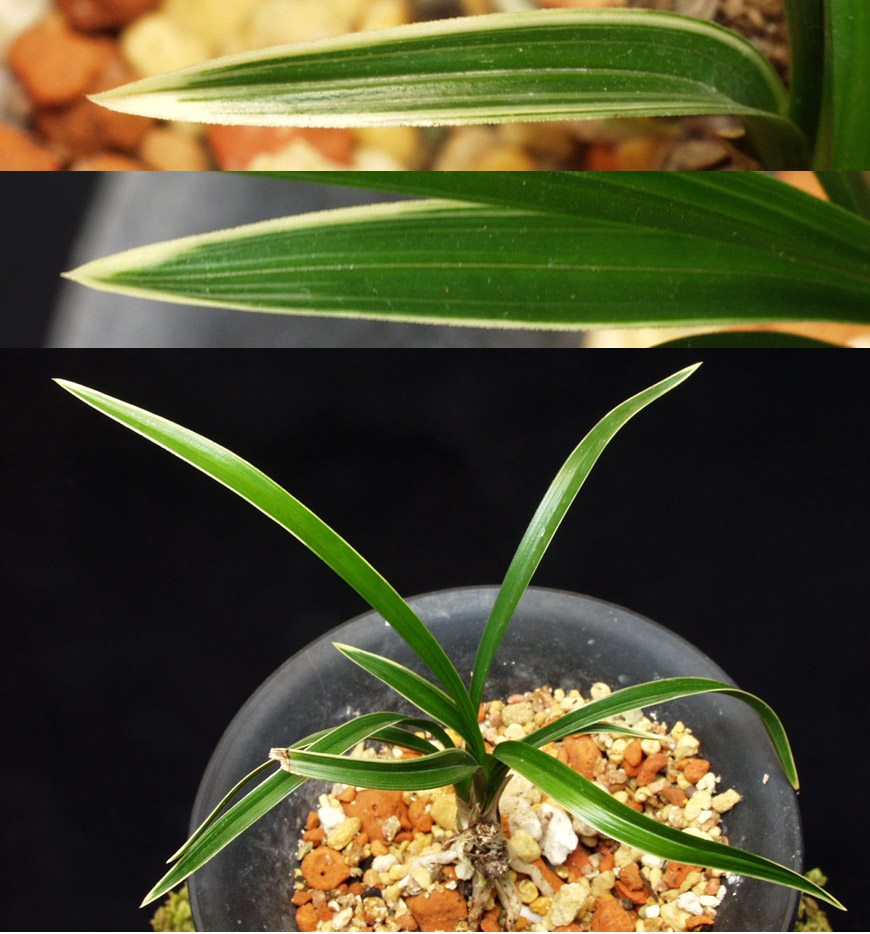 ������ ū������ �� �� �ֽ��ϴ�.