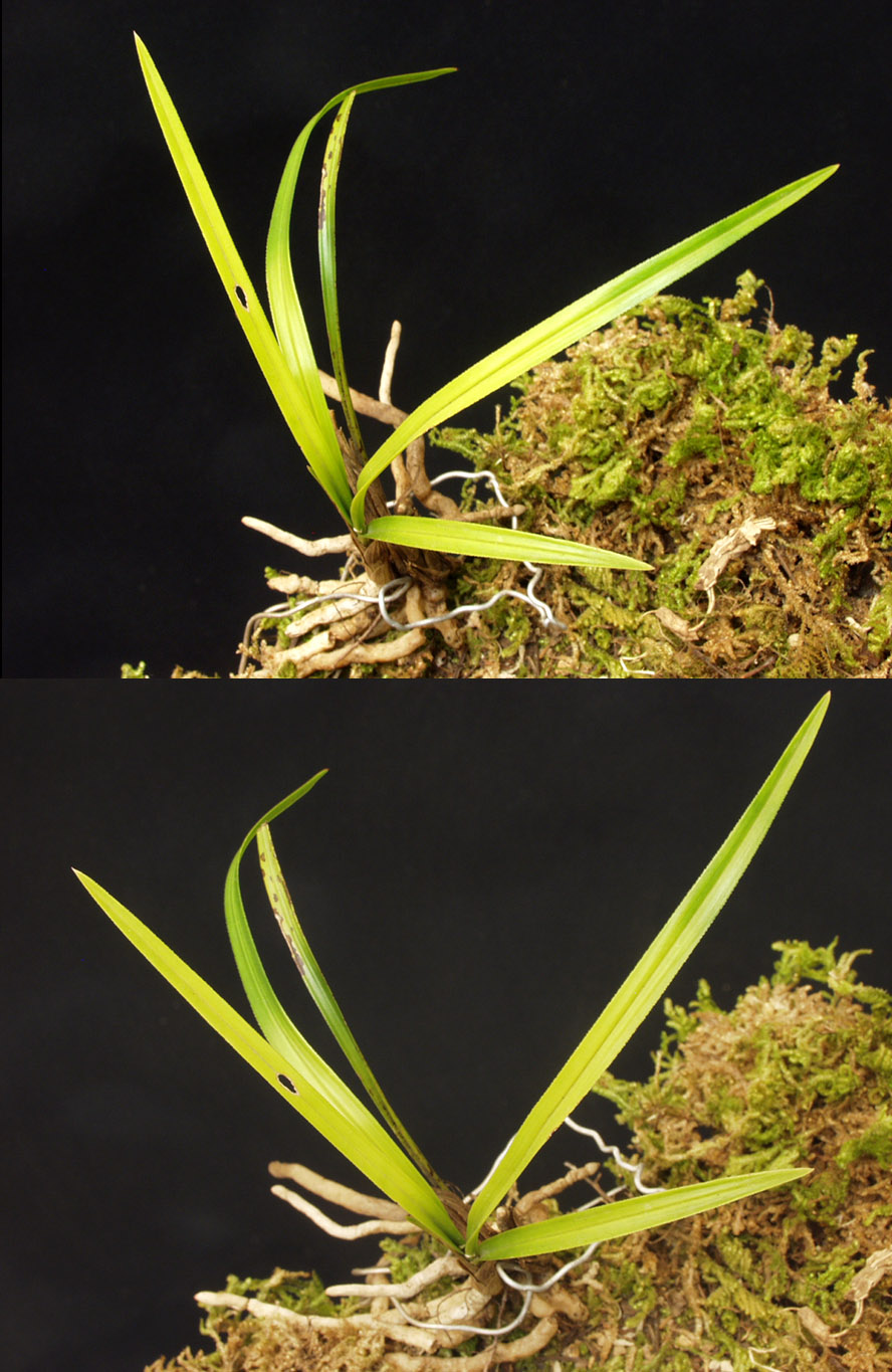 ������ ū������ �� �� �ֽ��ϴ�.