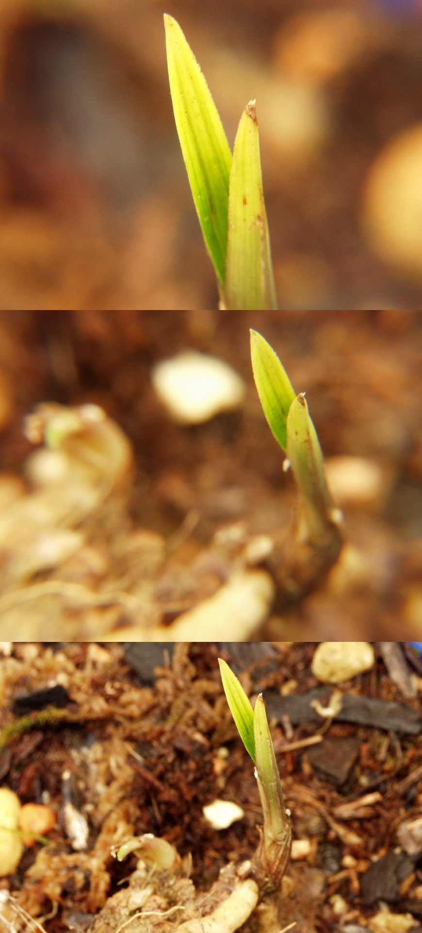 ������ ū������ �� �� �ֽ��ϴ�.