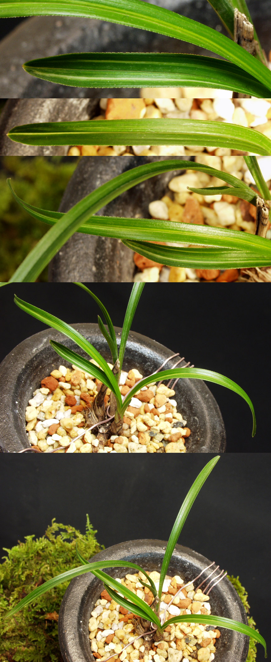 ������ ū������ �� �� �ֽ��ϴ�.