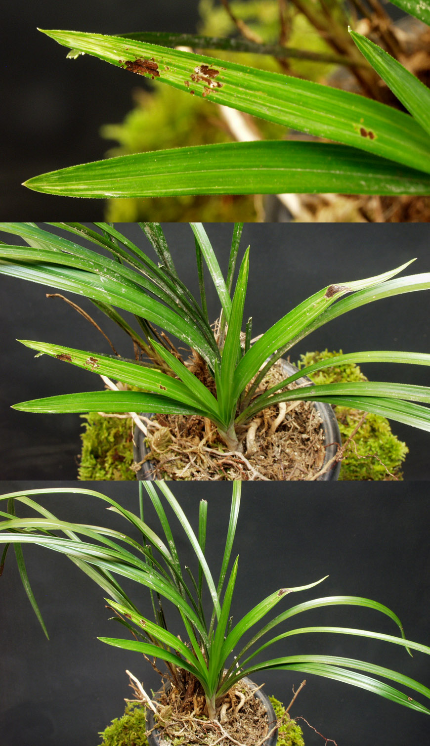 ������ ū������ �� �� �ֽ��ϴ�.