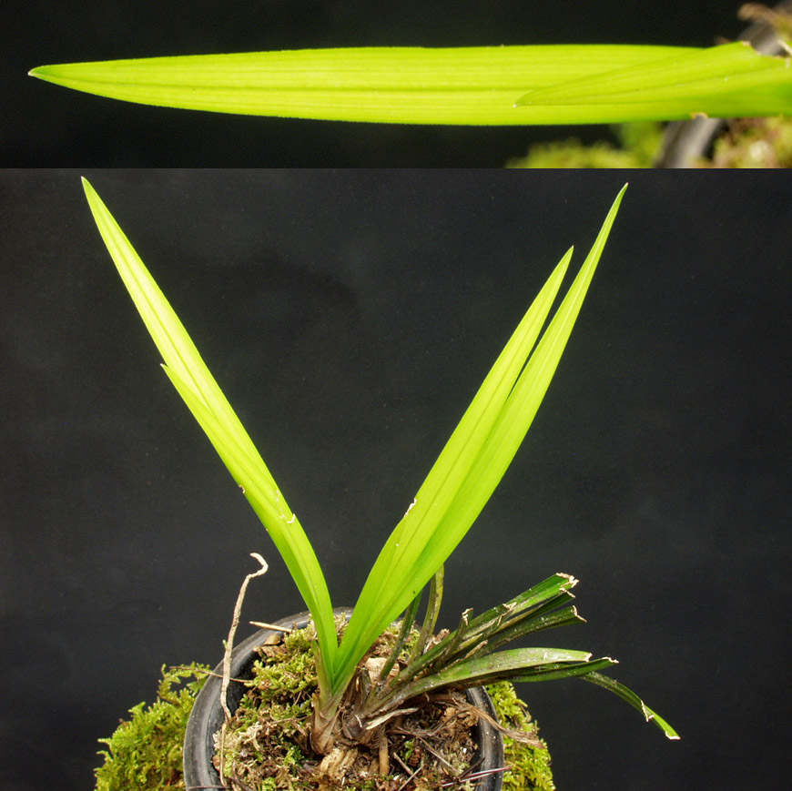 ������ ū������ �� �� �ֽ��ϴ�.