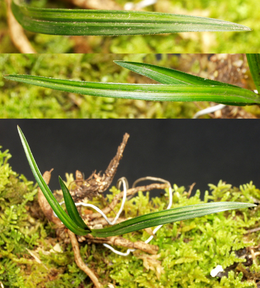 ������ ū������ �� �� �ֽ��ϴ�.