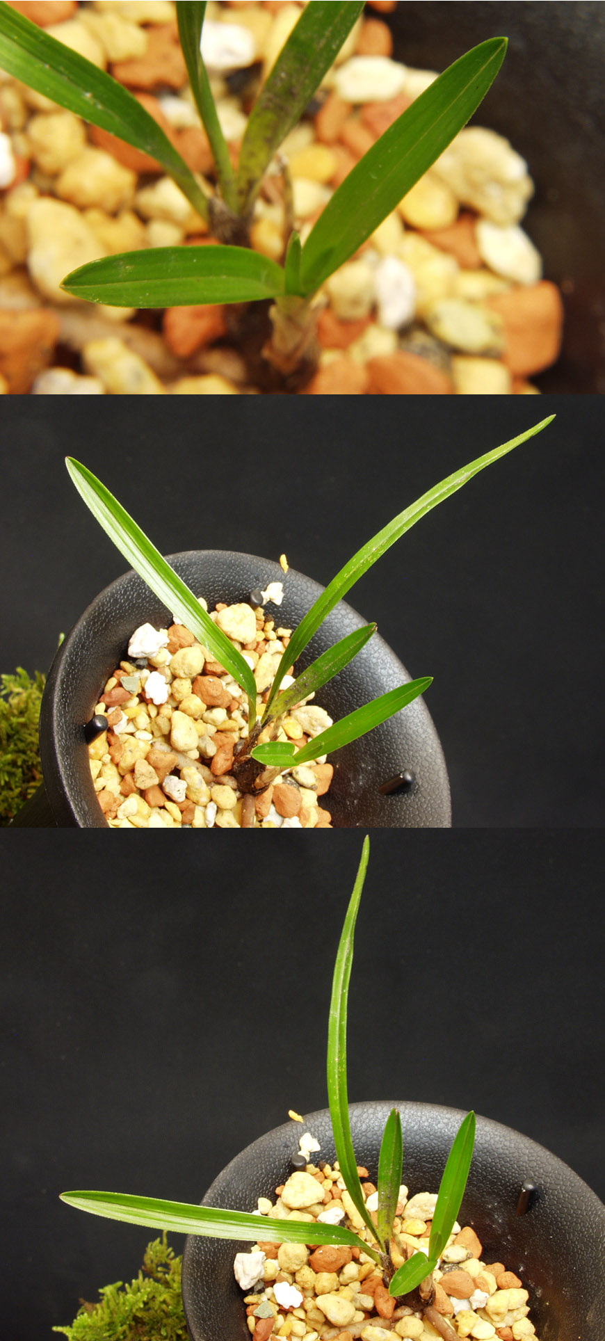 ������ ū������ �� �� �ֽ��ϴ�.